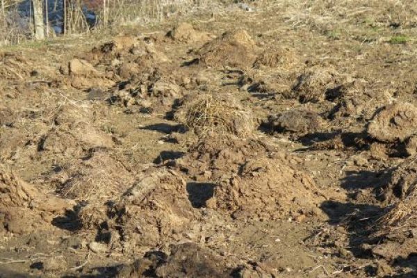 Купить наркотики москва