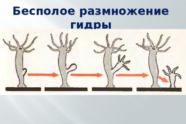 Через какой браузер зайти на кракен