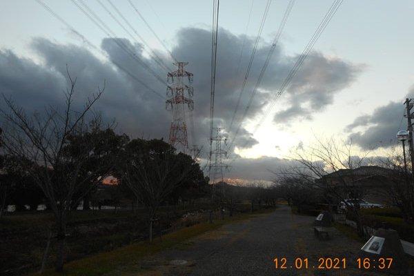 Кракен что можно купить