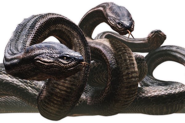 Кракен питер