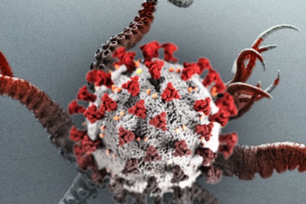 Кракен ссылка market pw