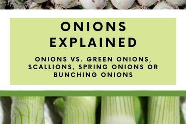 Почему не работает кракен сегодня