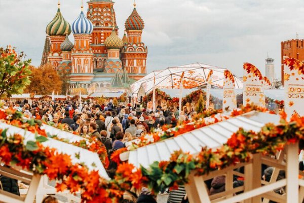 Зайти в кракен