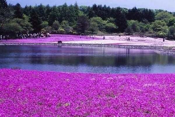 Кракен ссылка kraken