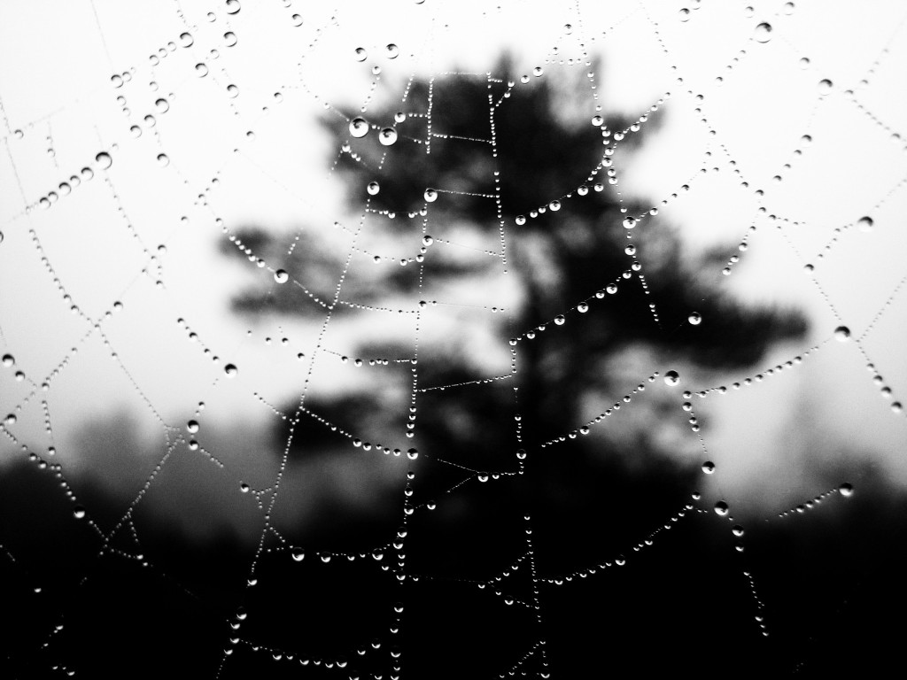 Как вывести деньги с кракена маркетплейс